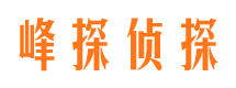 枞阳侦探